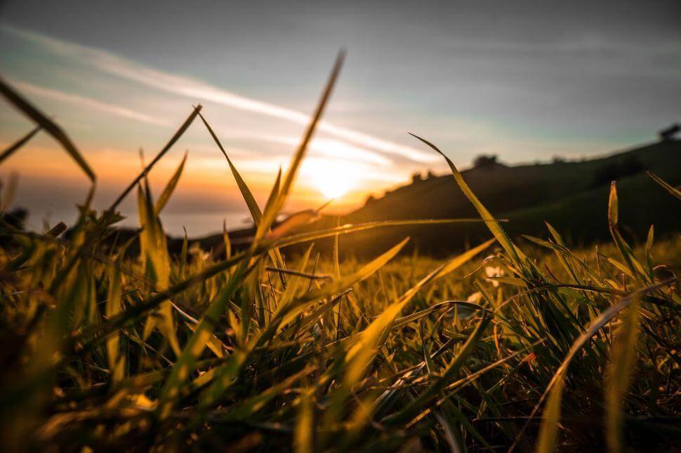 De beste tijd om graszoden te leggen