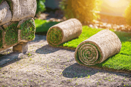De beste tijd om graszoden te leggen