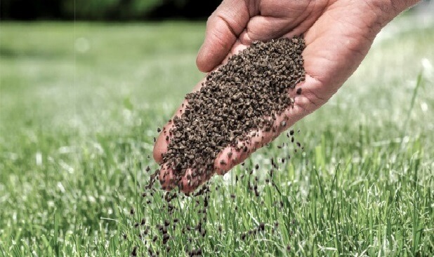 Voorbereiding voor nieuwe graszoden
