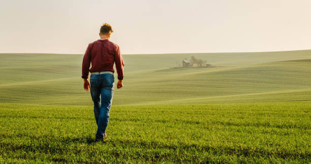 Veelgemaakte fouten bij het aanleggen van graszoden
