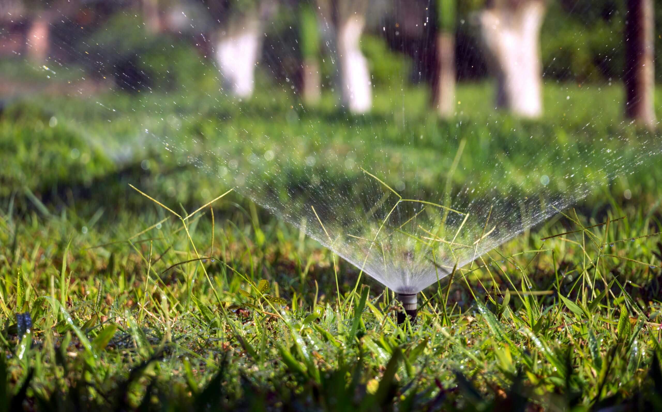 Water geven aan graszoden